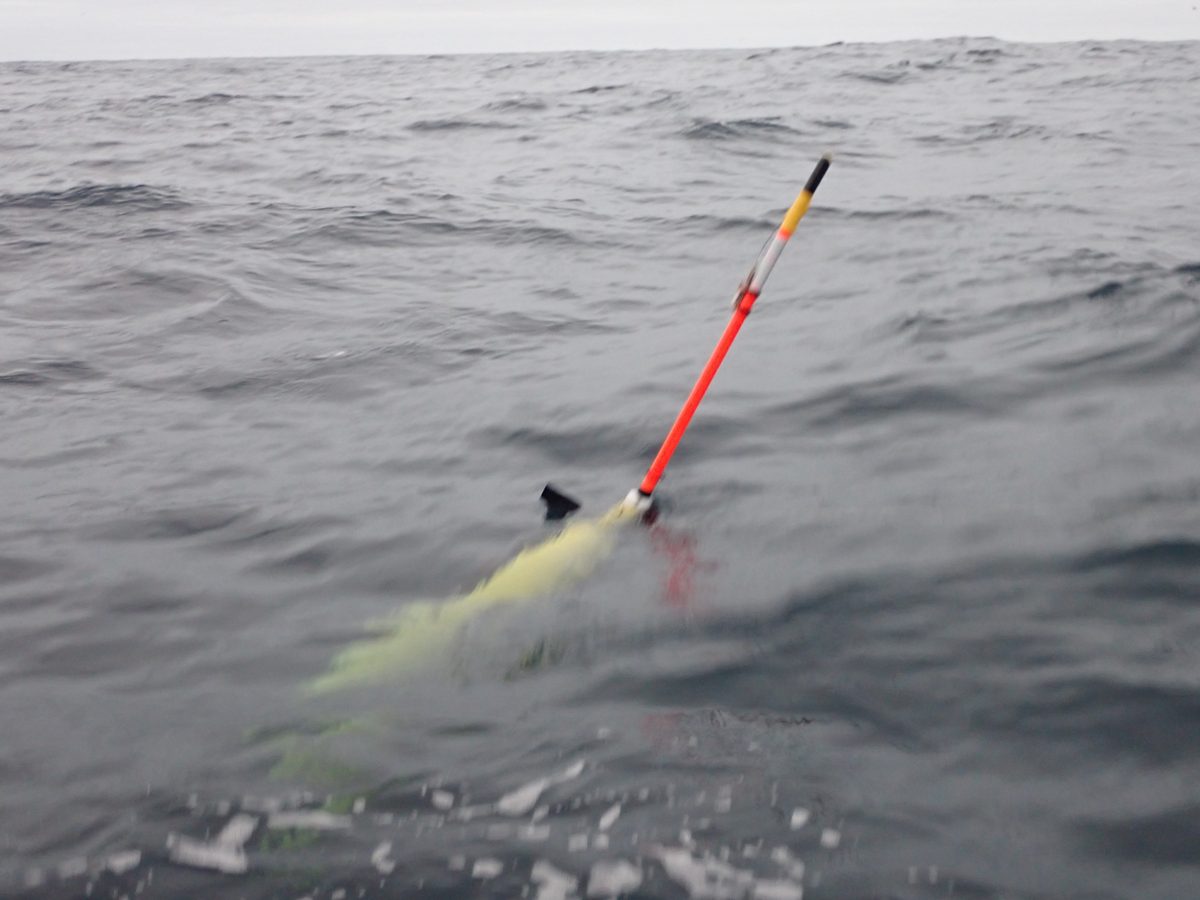 Seaglider floating at the sea surface during a leash check, antenna mast well clear of the water