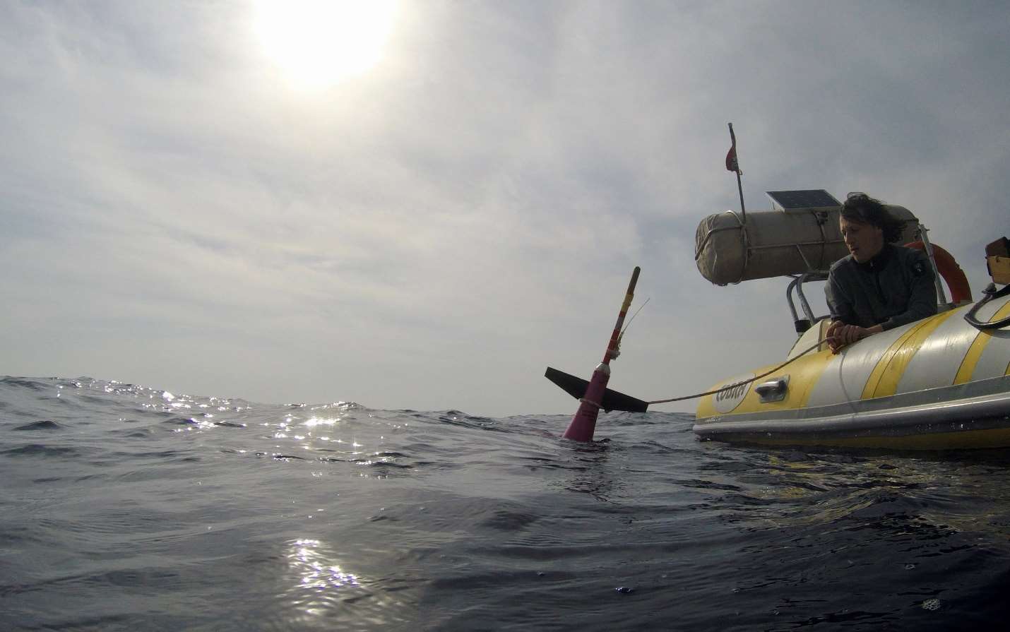 Glider floating at the surface, tethered to the boat