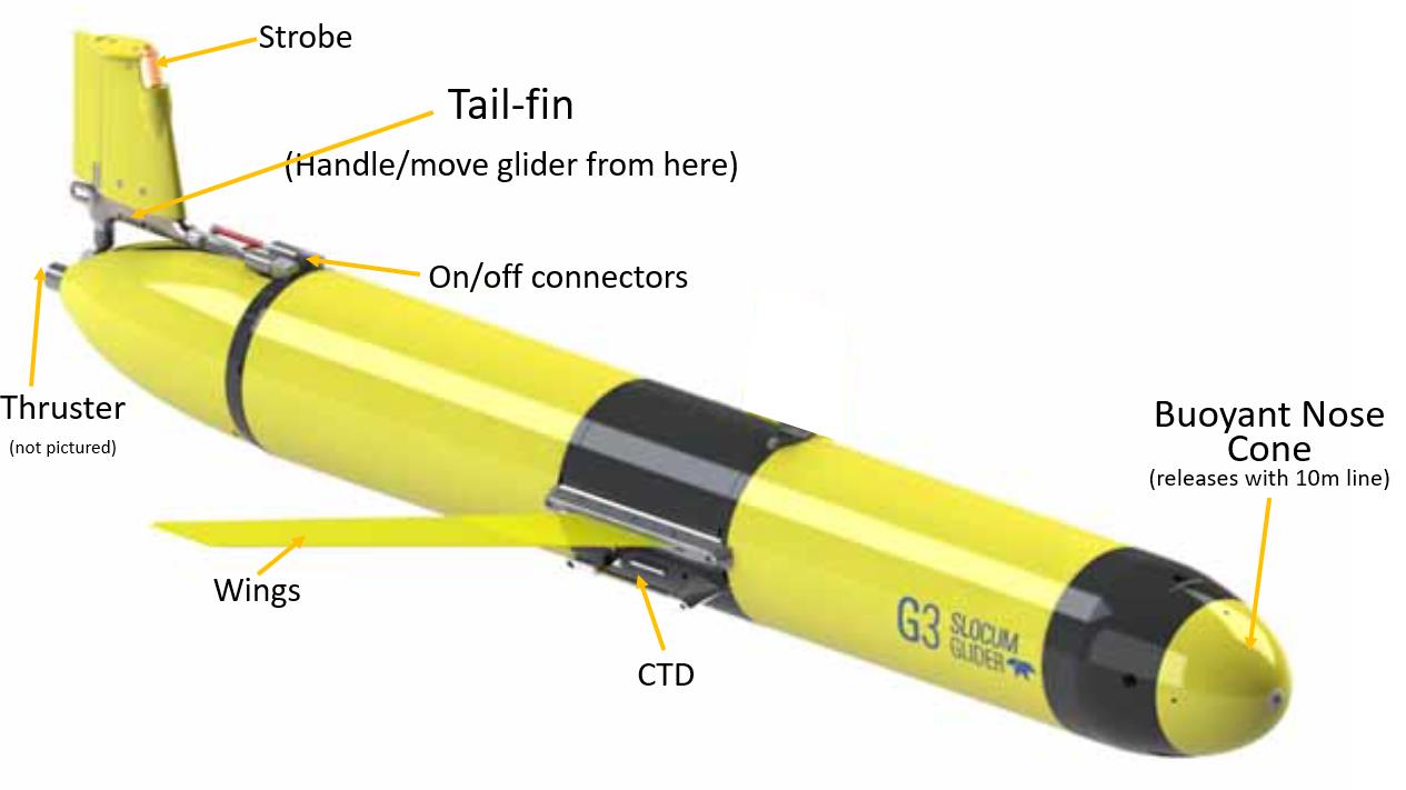 G3 glider labeled with strobe, tail-fin, thruster, wings, CTD, and buoyant nose cone