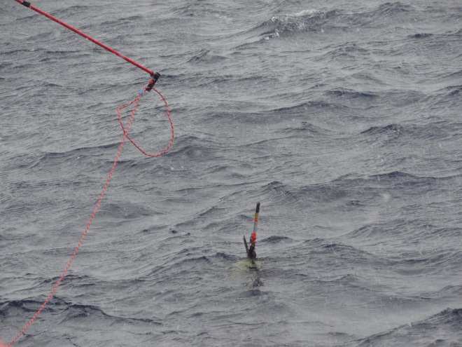 Working the loop toward the glider in rough water
