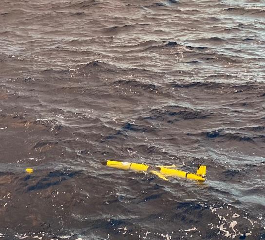 Glider drifting at the sea surface